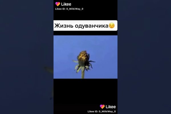 Ссылки в тор