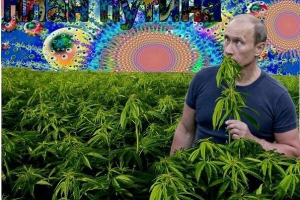 Кракен сайт kra cc