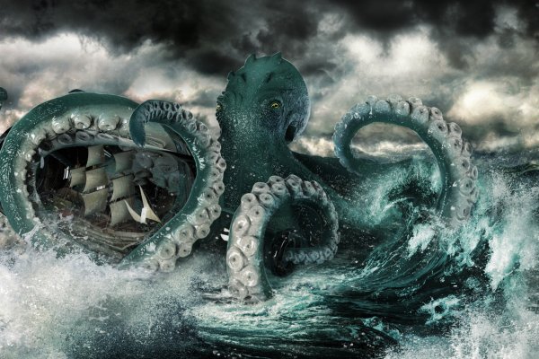 Kraken site