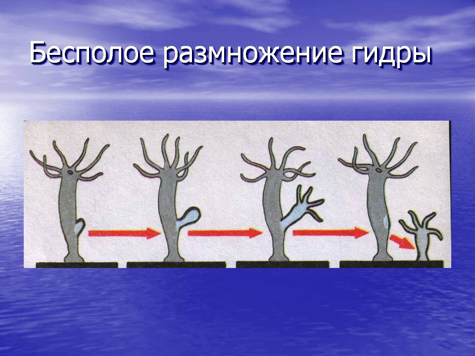 Купить наркотики онлайн